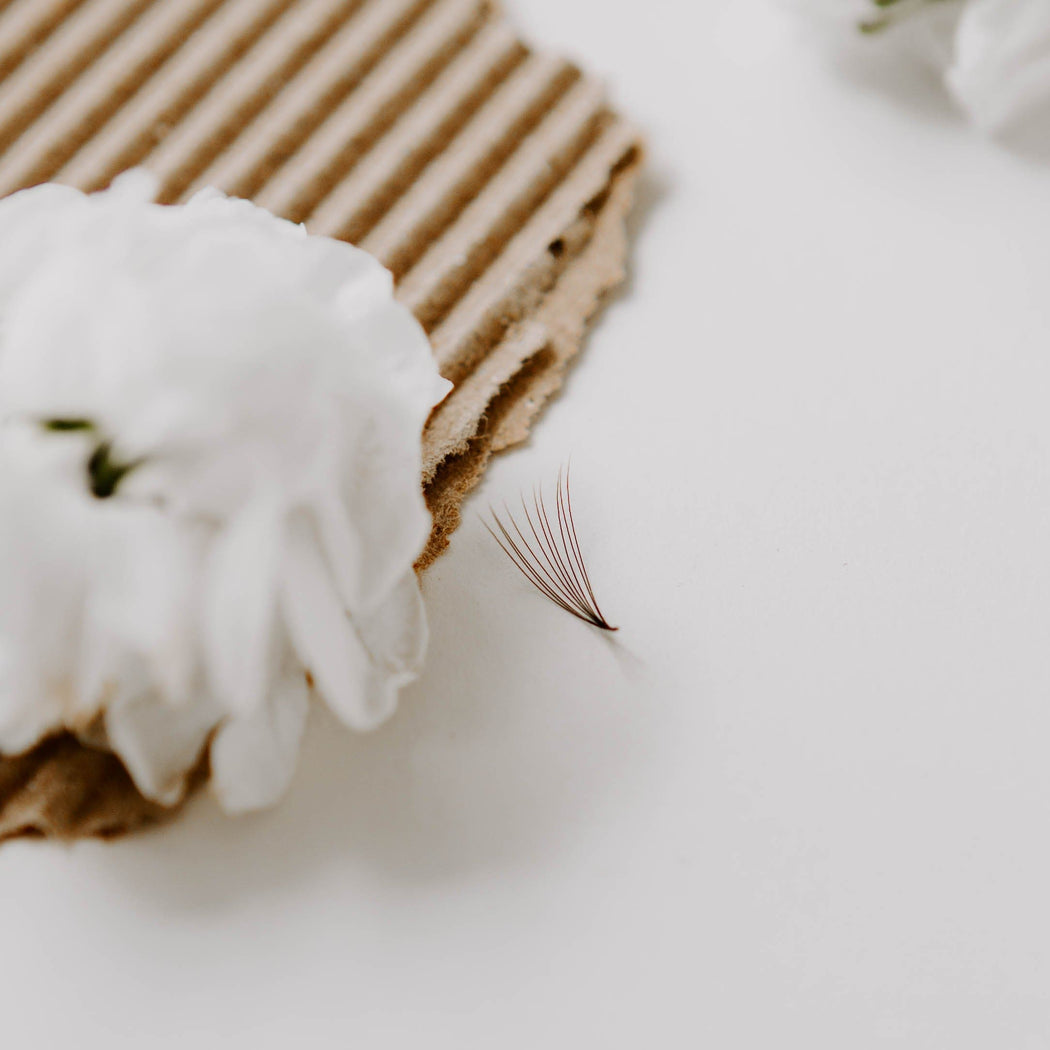 SoCo Lashes 10D Pro-Made Loose Fans