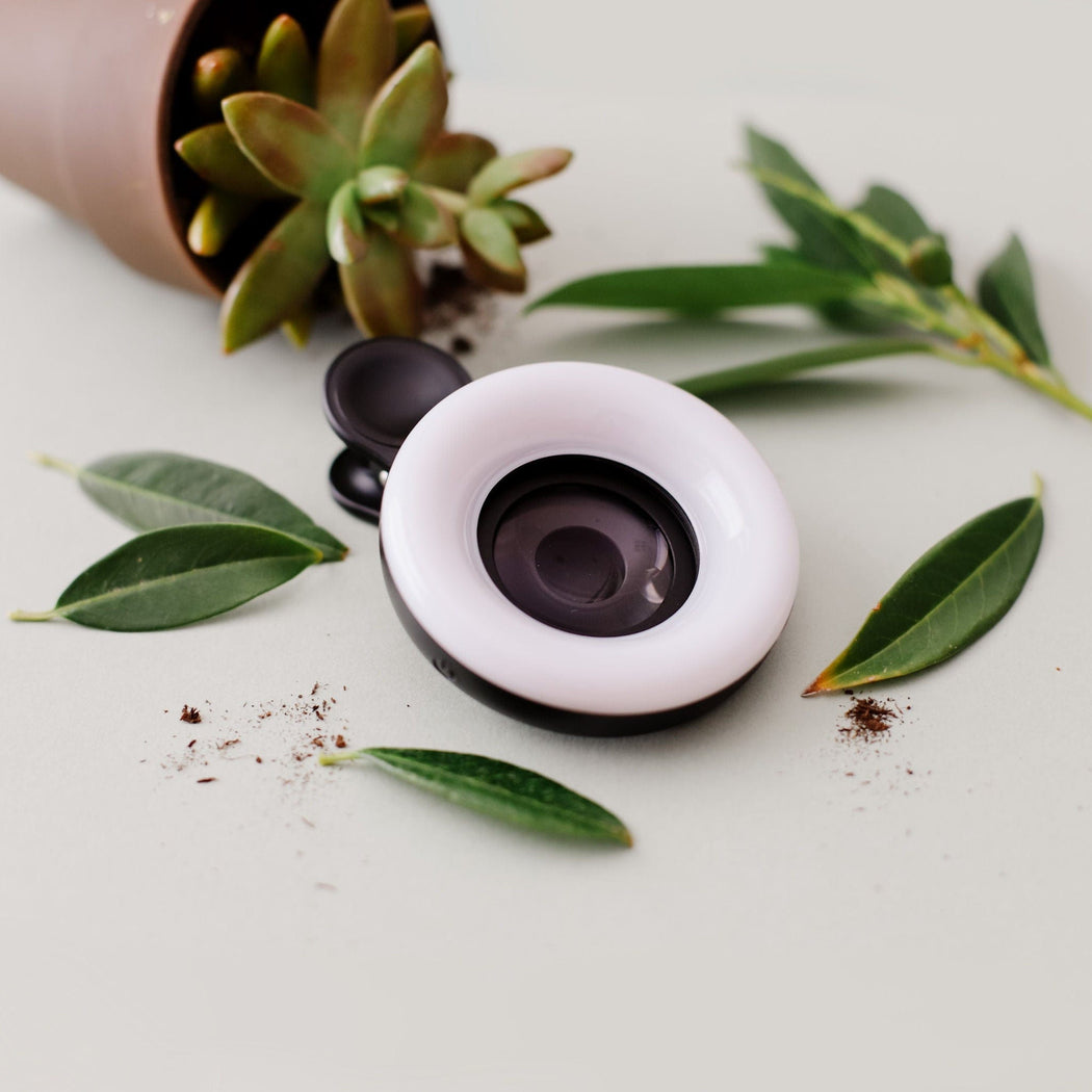 SoCo Lashes Phone Camera Lens The Jena Lens 2.0